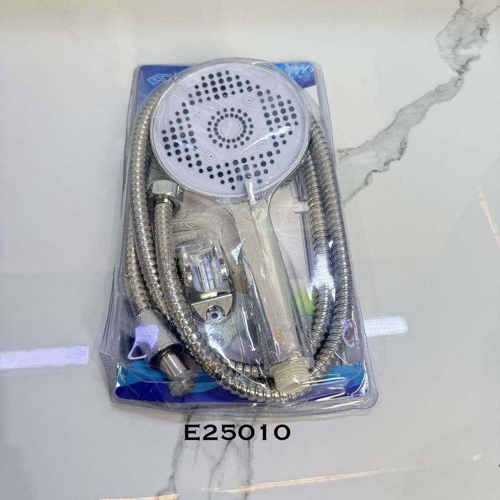 E25010