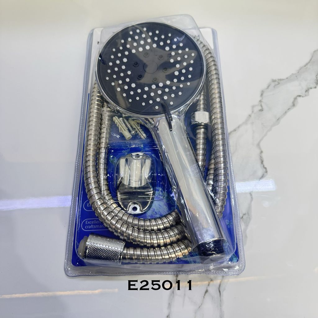 E25011