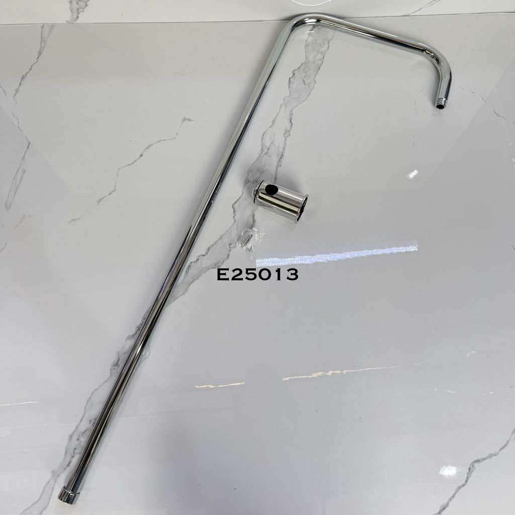 E25013