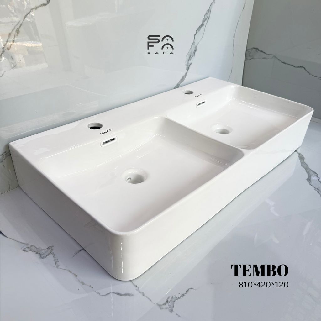 TEMBO