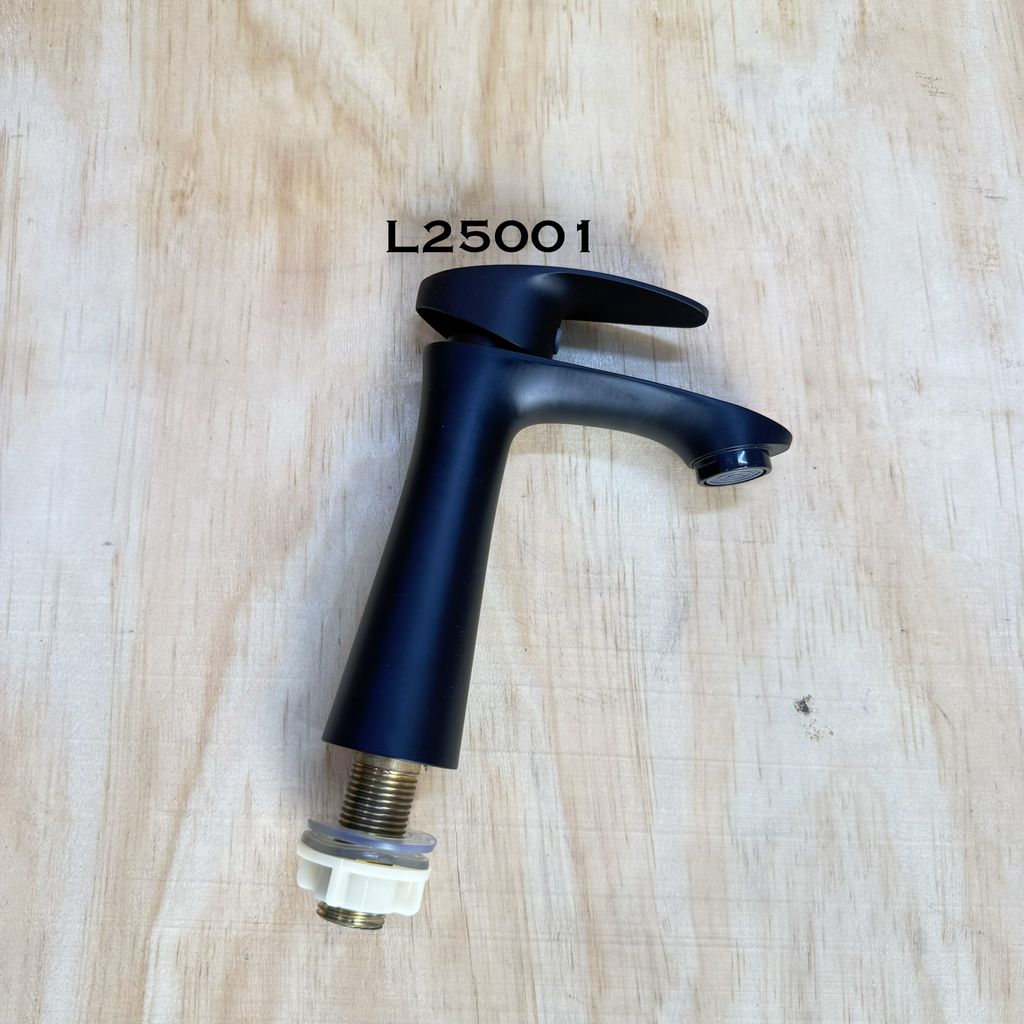L25001