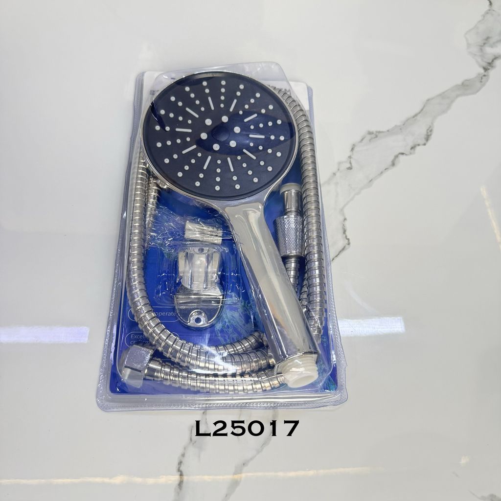 L25017