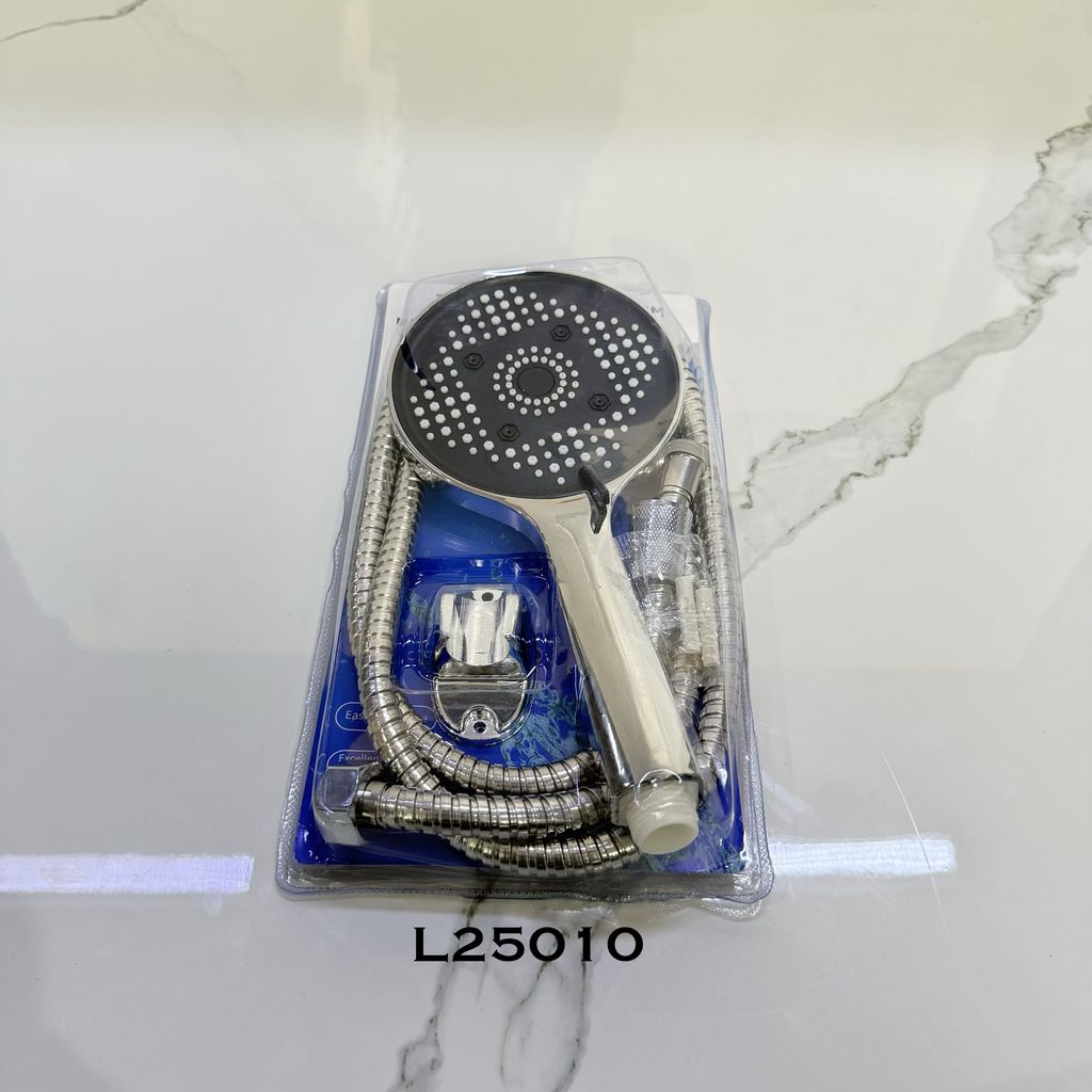 L25010