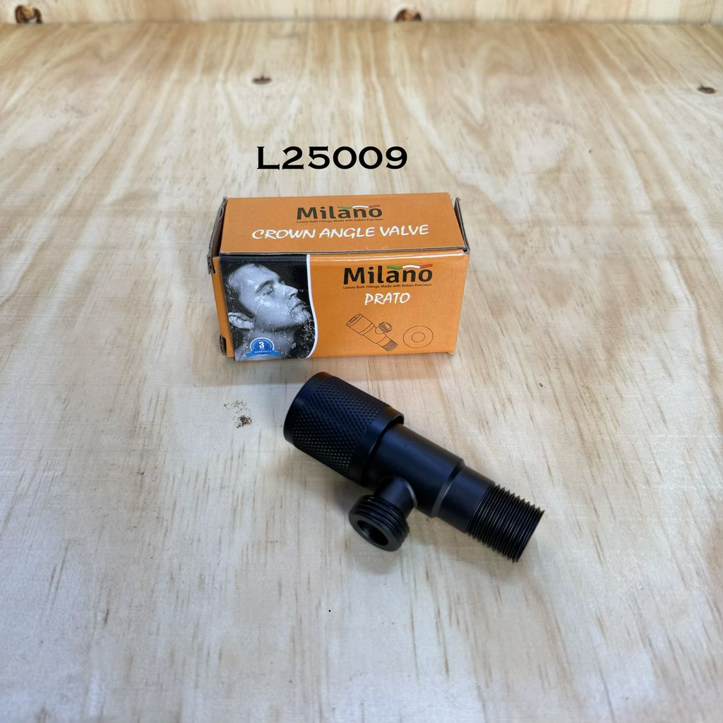 L25009