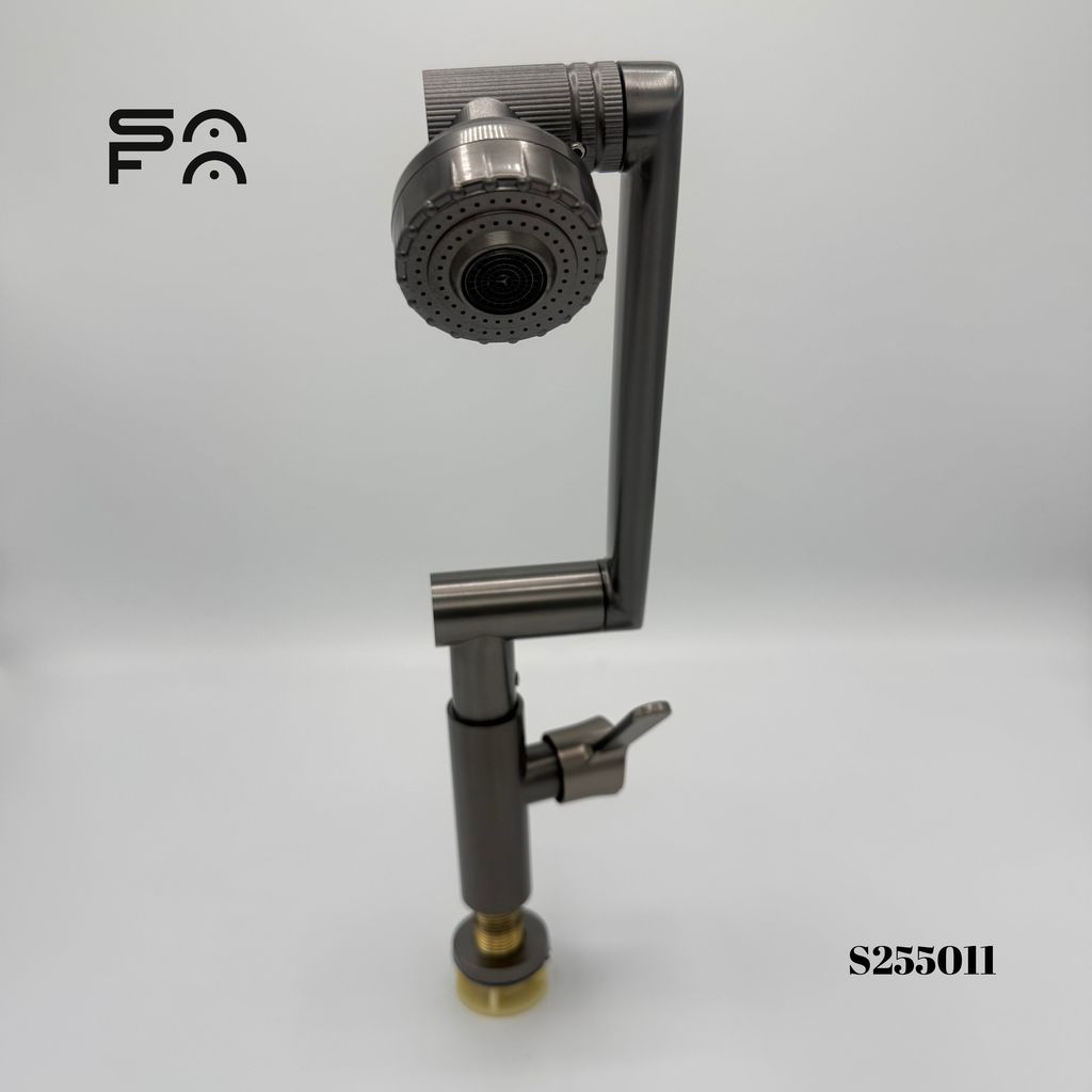 S255011