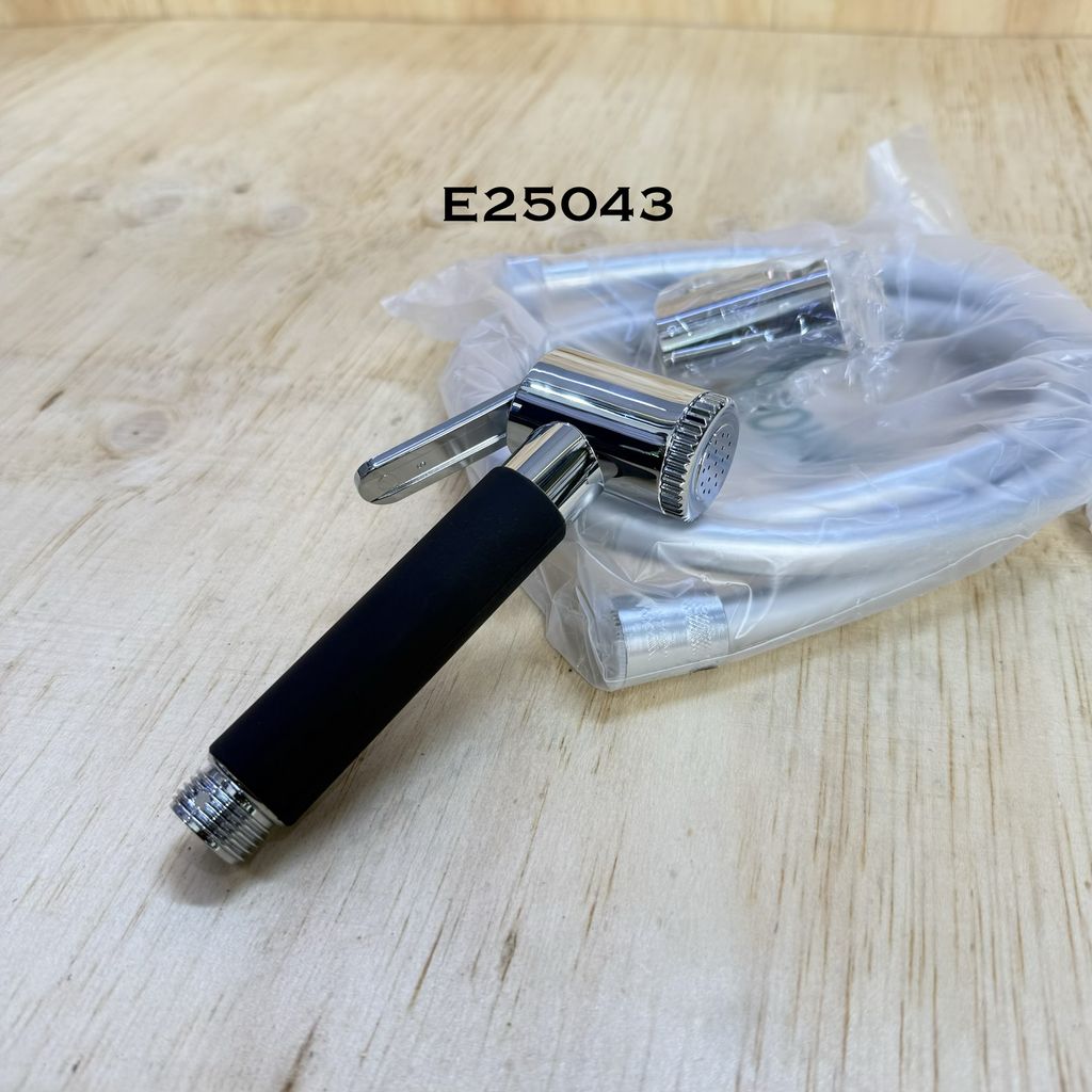 E25043