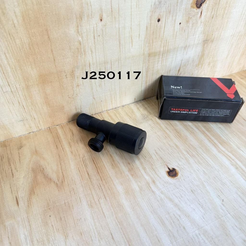 J250117